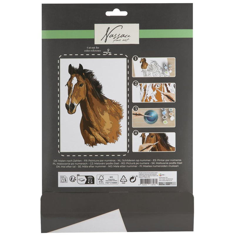 Load image into Gallery viewer, Schilderen op nummer paard
