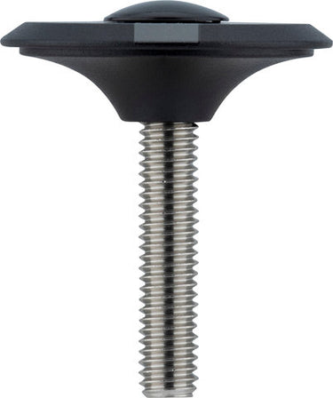 Ritchey comp top cap