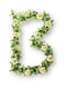 Basil Roses Flower Garland bloemenstreng wit