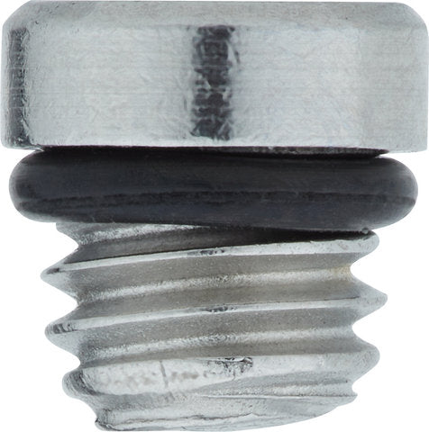 Load image into Gallery viewer, Formula bleeding grub screw for cura cura e
