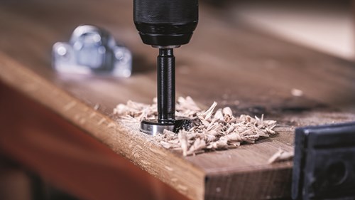 Load image into Gallery viewer, Bosch accessoires expert wood forstner boor | 36 mm - 2608901838
