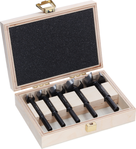 Load image into Gallery viewer, Bosch accessoires expert wood forstner borenset | 5 stuks - 2608901843

