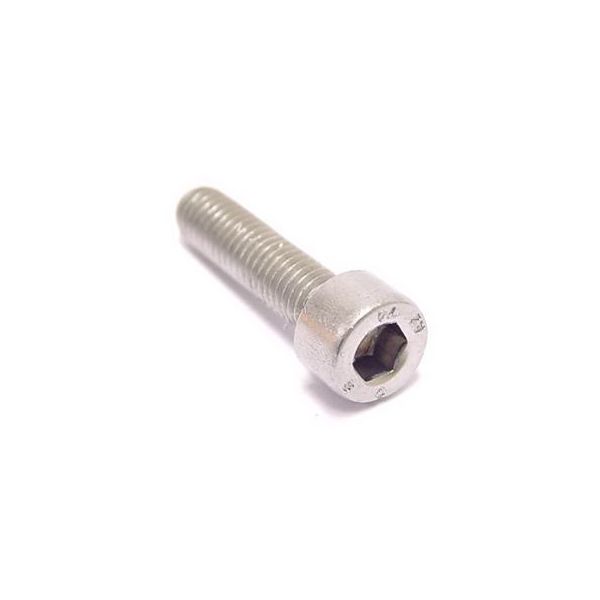 Afbeelding laden in galerijviewer, Bofix Inbusbout M5 x 30 RVS (25 stuks)
