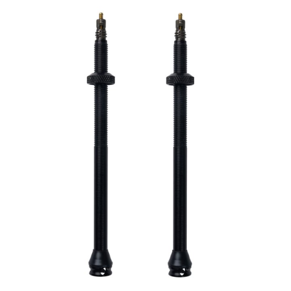 Load image into Gallery viewer, Schwalbe tubeless ventielset sv - 100 mm
