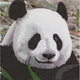 Brandunit diamond painting - kaart reuzenpanda