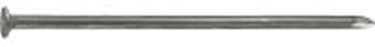 Connex nagel platte kop 3.8x100 1kg fe - kk1013899