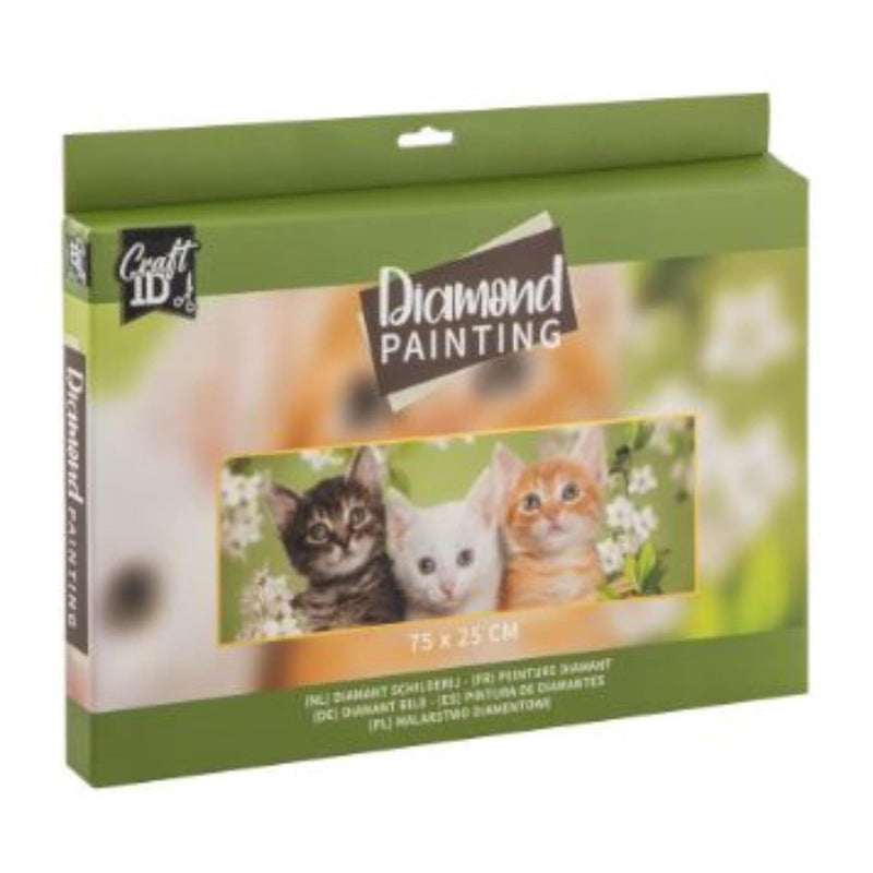 Load image into Gallery viewer, Craft id diamond painting 75x25cm
