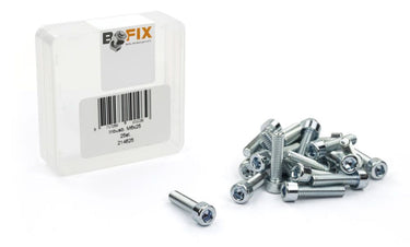 Bofix inbusbout m6 x 25