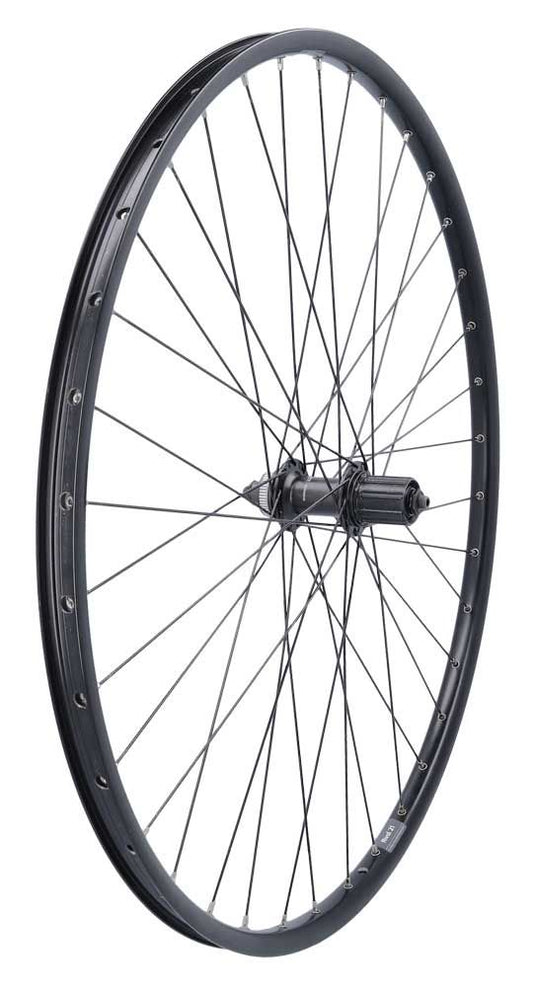 Roland achterwiel 28 rival21