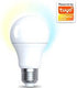 Enzo denver led gls mat wit e27 9w dimbaar smart wi-fi tuya - led5010
