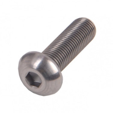 Bofix ds inbusbouten m6x40 bol rvs (12st)