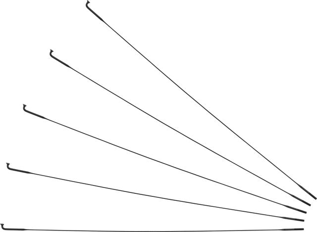 Load image into Gallery viewer, Sapim cx-ray j-bend spokes + nipples - 5-pack
