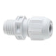 Wiska sprintwartel m40x1.5