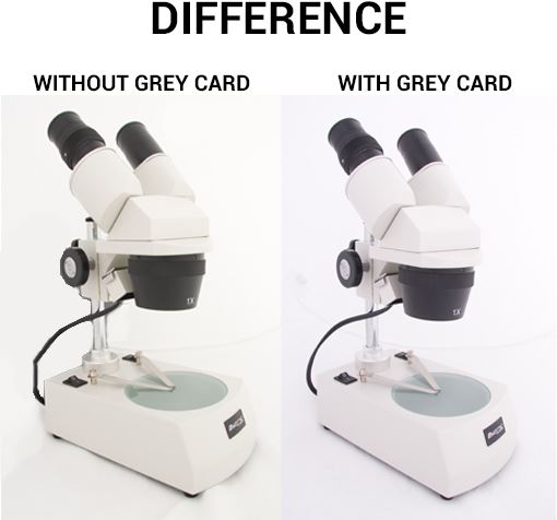 Load image into Gallery viewer, Falcon Eyes Grijskaarten 1x A5, 1x 10x15 + Instructie CD
