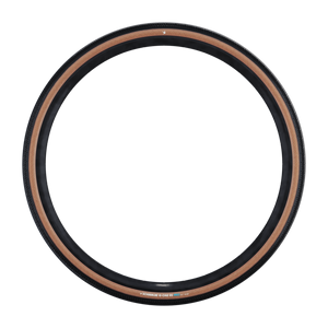 Schwalbe vouwband g-one rs pro evolution 50-622 tlr zwart tr
