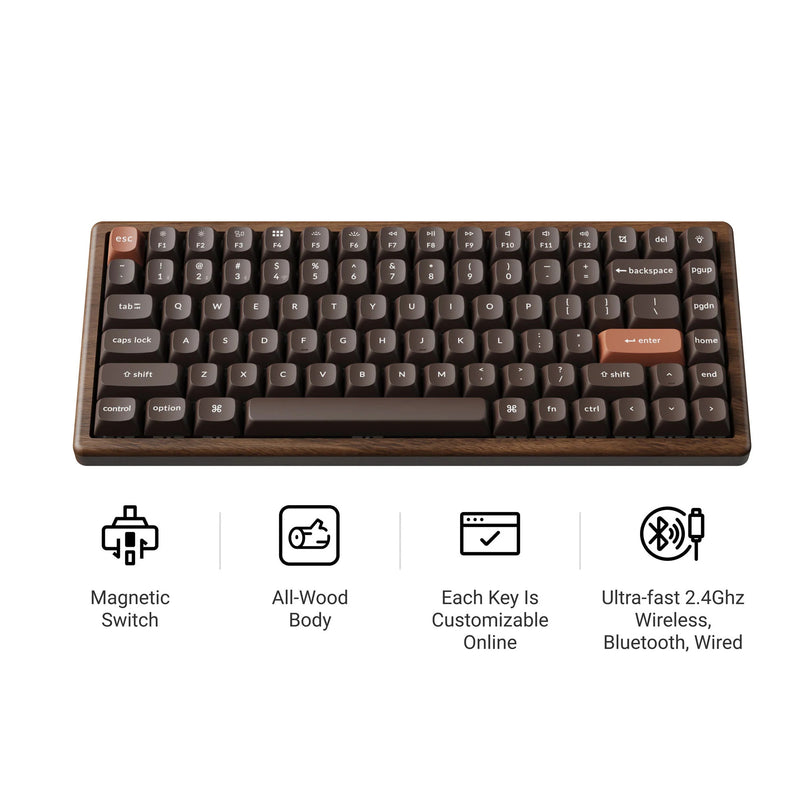 Load image into Gallery viewer, Keychron k2he all-wood special edition mechanisch toetsenbord (houtkleur, us lay-out (qwerty), gateron double-rail magnetic nebula, 75%, gateron double-rail magnetic, osa pbt double-shot, hot swap, bluetooth 5.2 | usb-c)
