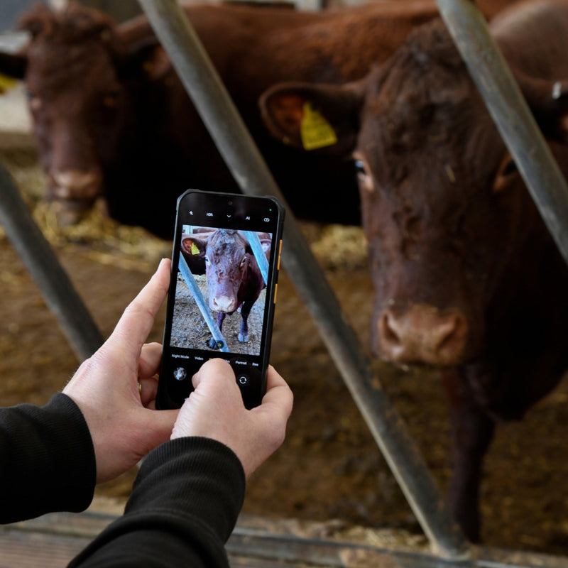 Load image into Gallery viewer, Jcb toughphone e10 (zwart, 6.6 hd, 8 gb ram, 64 gb rom)
