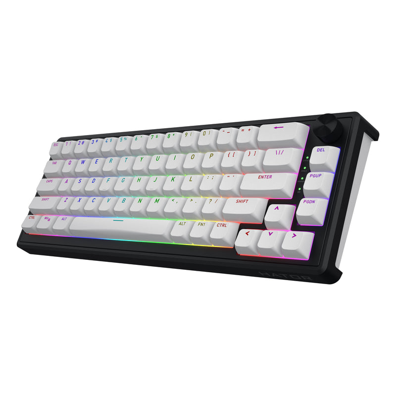 Load image into Gallery viewer, Hator skyfall wireless rgb mechanisch gaming toetsenbord (zwart, us lay-out (qwerty), hator aurum sterling, 65%, rgb, double shot abs, hot-swap, 2.4ghz | bluetooth | usb-c)
