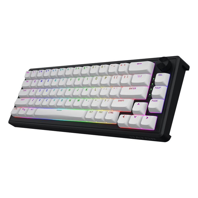 Load image into Gallery viewer, Hator skyfall mag ultra 8k rgb mechanisch gaming toetsenbord (zwart, us lay-out (qwerty), hator aurum ice, 65%, rgb, double-shot pbt, hot-swap)
