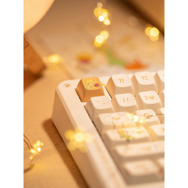 Afbeelding laden in galerijviewer, Iqunix zx75 sunset ponder wireless mechanical keyboard (lichtgeel, us lay-out (qwerty), iqunix little prince, 75%, rgb leds, hot-swappable, double-shot pbt, 2.4ghz | bluetooth 5.1 | usb-c)
