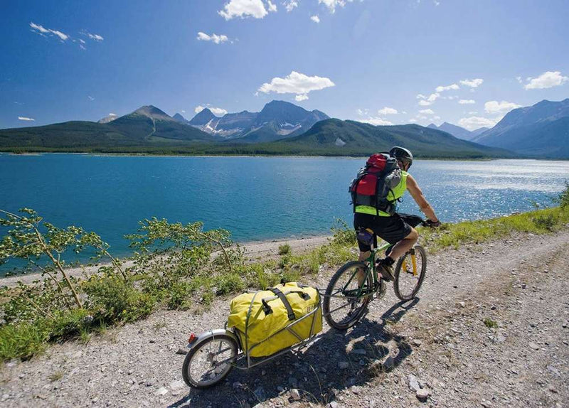 Load image into Gallery viewer, Bob ibex bicycle trailer gold with bag
