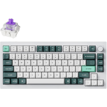 Keychron q1 he-p1 rgb mechanisch toetsenbord (wit, us lay-out (qwerty), gateron double-rail magnetic nebula, 75%, hot-swappable, rgb leds, osa double-shot pbt keycaps, usb-c | 2.4 ghz | bluetooth, knob)
