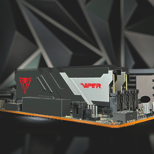 Patriot 32 gb ddr5-7000 kit werkgeheugen (zwart, viper venom, xmp 3.0)