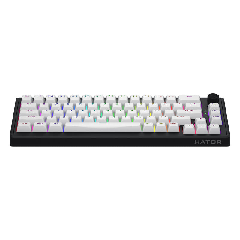 Load image into Gallery viewer, Hator skyfall wireless rgb mechanisch gaming toetsenbord (zwart, us lay-out (qwerty), hator aurum sterling, 65%, rgb, double shot abs, hot-swap, 2.4ghz | bluetooth | usb-c)
