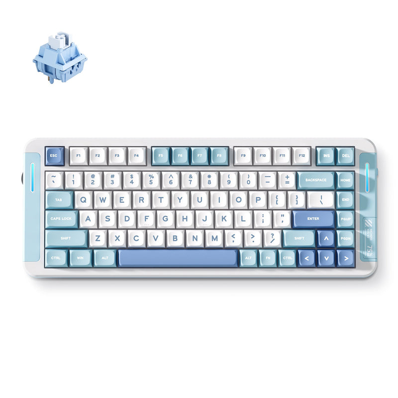 Afbeelding laden in galerijviewer, Mchose x75 v2 blue whale sea custom mechanical rgb toetsenbord (wit, us lay-out (qwerty), swk whale sea, 75%, rgb, hot swap, double-shot pbt, draadloos | bluetooth | usb-c)

