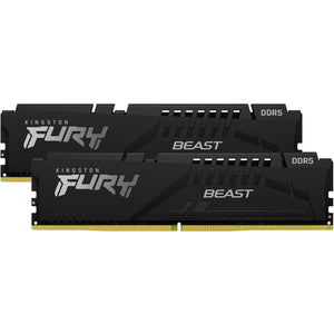 Intern geheugen kingston fury beast
