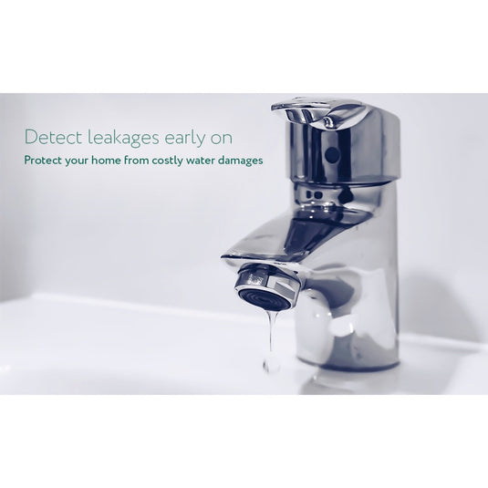 Frient water leak detector