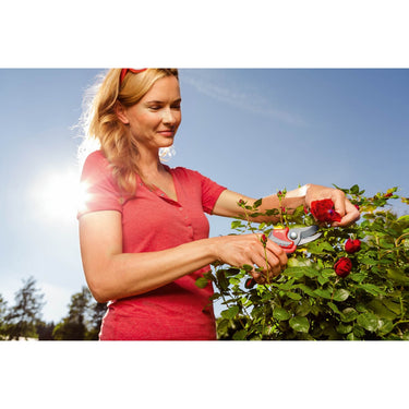 Wolf-garten snoeischaar premium plus rr 4000 - max. knipdiameter 22 mm - links- en rechtshandige - softinleg handgreep - snijhoek 30° - voor grote handen - vervangbare messen