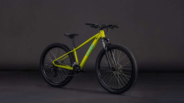 Cube acid 260 disc lizard´n´blue
