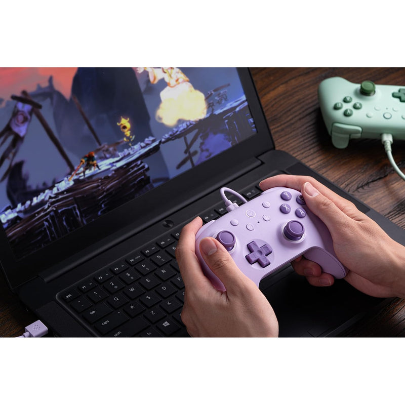 Load image into Gallery viewer, 8bitdo ultimate 2c wired gamepad (lila)
