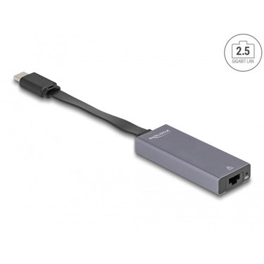 Delock usb-c > 2.5 gigabit lan slim netwerkadapter (grijs)