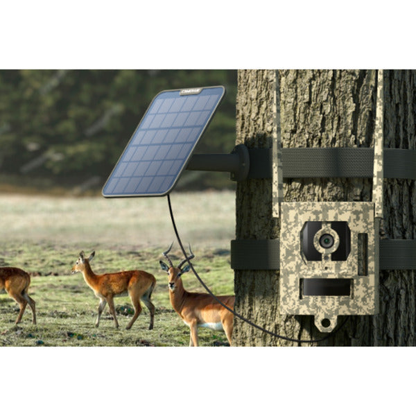 Afbeelding laden in galerijviewer, Reolink s130, 4k 8mp 4g lte wildcamera met live view en starlight nachtzicht (camouflage kleur)
