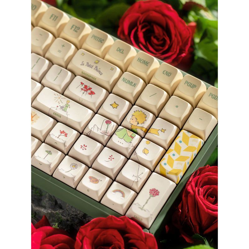 Afbeelding laden in galerijviewer, Iqunix f97 floral date rgb mechanisch gaming toetsenbord (groen, us lay-out (qwerty), iqunix little prince, 96%, rgb leds, hot-swappable, pbt, 2.4ghz | bluetooth 5.1 | usb-c)
