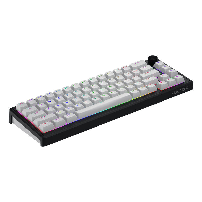 Load image into Gallery viewer, Hator skyfall wireless rgb mechanisch gaming toetsenbord (zwart, us lay-out (qwerty), hator aurum sterling, 65%, rgb, double shot abs, hot-swap, 2.4ghz | bluetooth | usb-c)
