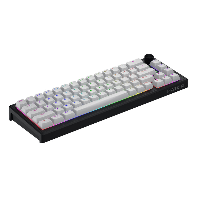 Load image into Gallery viewer, Hator skyfall mag ultra 8k rgb mechanisch gaming toetsenbord (zwart, us lay-out (qwerty), hator aurum ice, 65%, rgb, double-shot pbt, hot-swap)
