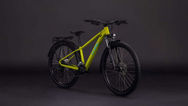 Cube acid 260 disc fe lizard´n´blue