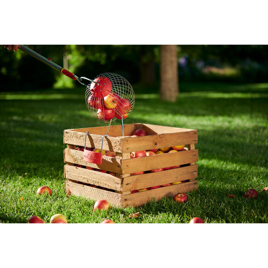 Wolf-garten multi-star fc-m fruitverzamelaar fruitplukker (rood, beugel inbegrepen)