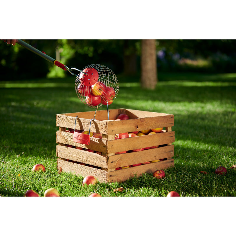 Load image into Gallery viewer, Wolf-garten multi-star fc-m fruitverzamelaar fruitplukker (rood, beugel inbegrepen)
