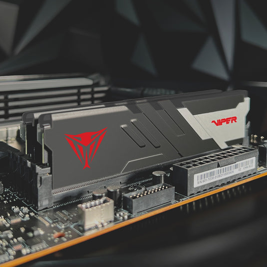 Patriot 32 gb ddr5-7000 kit werkgeheugen (zwart, viper venom, xmp 3.0)