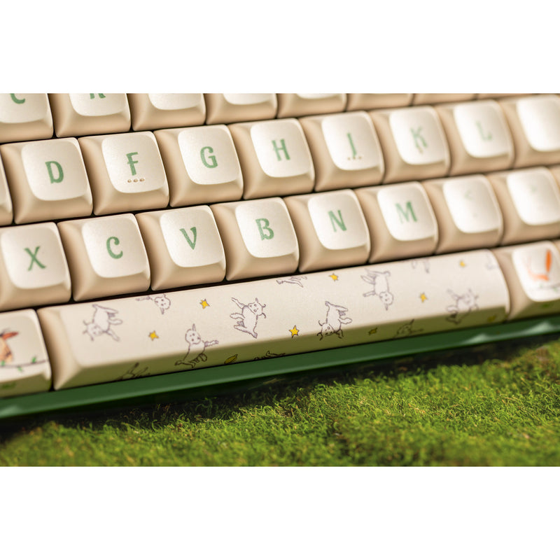 Afbeelding laden in galerijviewer, Iqunix f97 floral date rgb mechanisch gaming toetsenbord (groen, us lay-out (qwerty), iqunix little prince, 96%, rgb leds, hot-swappable, pbt, 2.4ghz | bluetooth 5.1 | usb-c)
