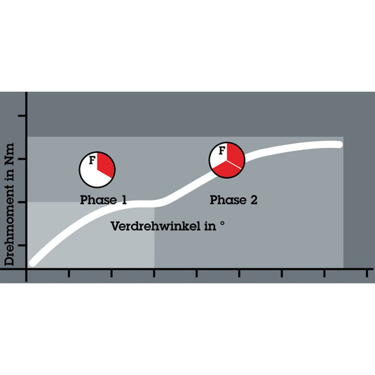 Wera bit-check 12 bitorsion 1 bitset (12-delig)