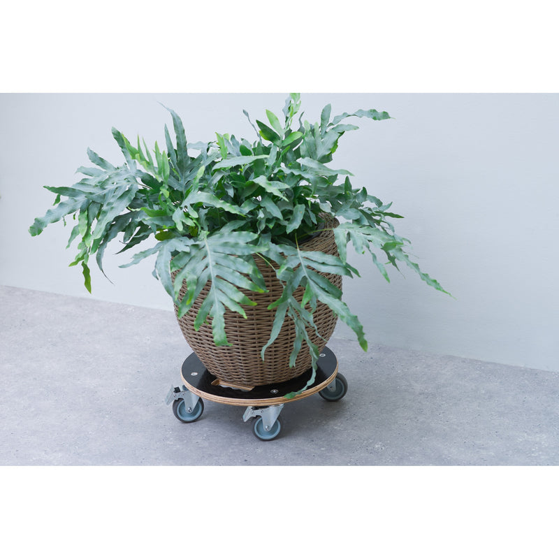 Load image into Gallery viewer, Nature planttrolley rond rolplank (zwart)

