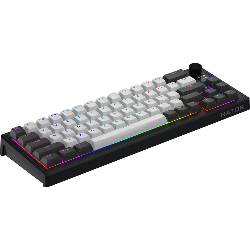 Load image into Gallery viewer, Hator skyfall pro wireless rgb mechanisch gaming toetsenbord (zwart, us lay-out (qwerty), hator aurum vanilla silent, 65%, rgb, double-shot pbt, hot-swap, 2.4ghz | bluetooth | usb-c)
