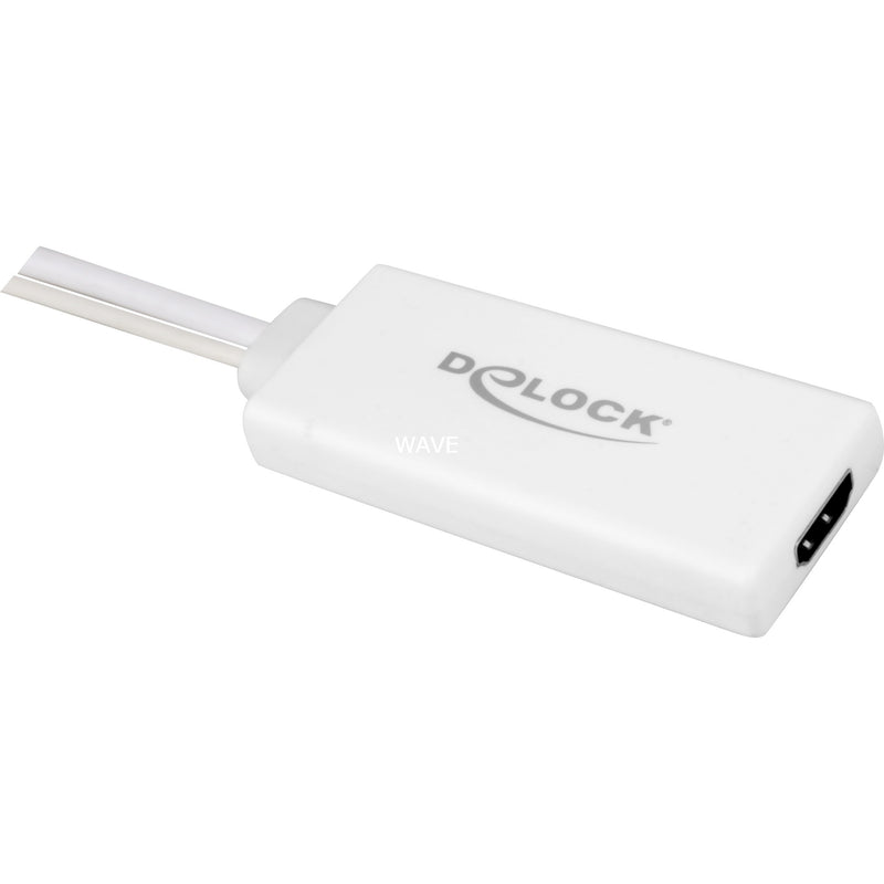 Load image into Gallery viewer, Delock vga (male) + usb-a (male) naar hdmi (female) adapter (wit, 0,25 meter)
