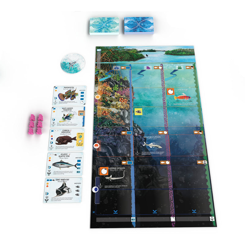 Load image into Gallery viewer, 999games 999 games finspan bordspel (nederlands, 1 - 5 spelers, 60 minuten, vanaf 10 jaar)

