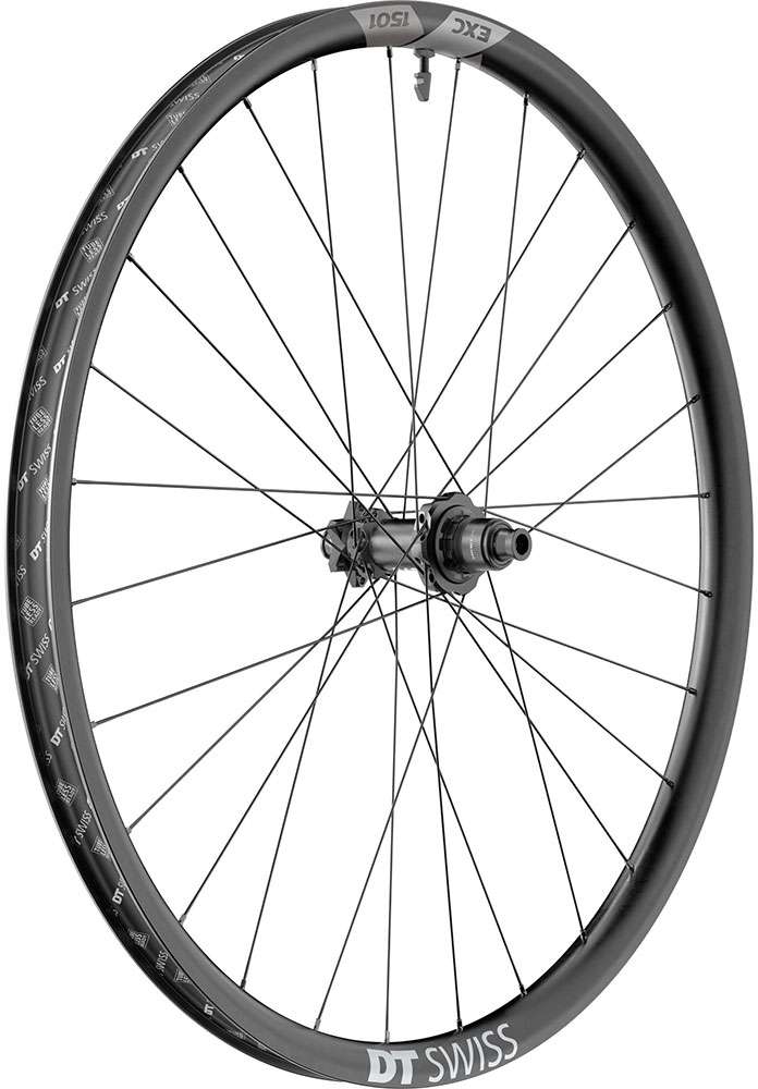 Load image into Gallery viewer, Dt swiss exc 1501 spline® one 30 carbon 6-bolt deg 90 boost 29 rear wheel
